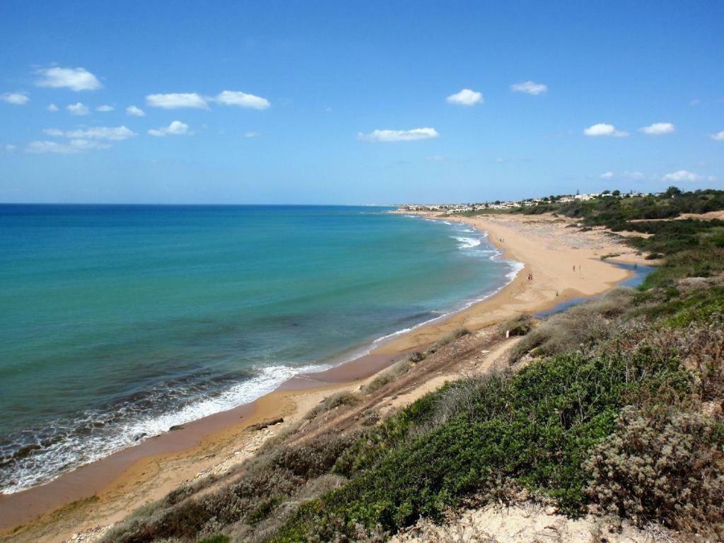 מרינלה דו סלינונטה Villa Ceni - Appartamenti Con Camere, Cucina, Wc E Terrazza Sul Mare In Villa Con Piscina, Giardino E Parcheggio מראה חיצוני תמונה