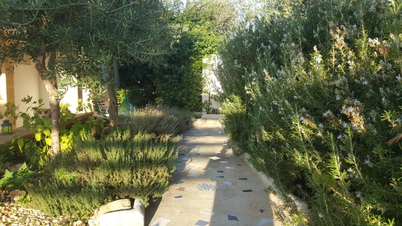 מרינלה דו סלינונטה Villa Ceni - Appartamenti Con Camere, Cucina, Wc E Terrazza Sul Mare In Villa Con Piscina, Giardino E Parcheggio מראה חיצוני תמונה